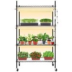 Monios-L Plant Shelf with Grow Light, Stainless Steel Plant Stand with Adjustable Rack and Wheels, 6-Pack 180W 3FT Full Spectrum Grow Lights for Indoor Plants / Seed Starting (35Lx14Wx61H, Black)