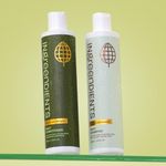 Ingreendients Non Toxic Vegan Shamp