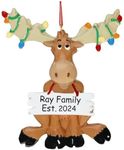 Christmas Moose Ornament, Christmas Lights Holiday Keepsake Gift, Christmas Tree Decoration with Custom Name and Date