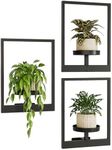 Bamworld Picture Frame Wall Plant H