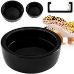 Magtara Reptile Food Dish Bowl - Anti-Escape Ceramic Worm Water Dish Feeder for Mealworm, Superworm, Dubia Roaches, Lizard, Leopard Gecko, Bearded Dragon, Chameleon, Skink, Tegu, Snake (Large, Black)