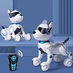 Aokid Toy Remote Control Robot Dog,