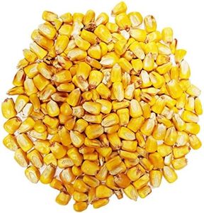 Backyard Seeds Whole Corn for Birds, Squirrels and Deer 10 Lb.