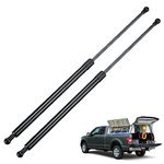 BDFHYK ST280M250 28inch 250lbs (1112N) Gas Shocks Struts Lift Support for Tonneau Cover,Truck Cover,Snowmobile Travel Trailer,Celler Door，Floor Hatch,Trap Door,Sled Trailer,Murphy Bed etc, Set of 2