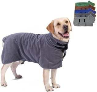 RYUREI Dog