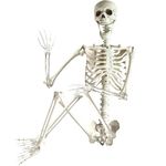 ArtCreativity 6ft Halloween Skeleton Decor - Life Size Skeleton for Indoor and Outdoor Decorations - Fully Articulated Posable Skeleton - Decoration for Halloween, Day of The Dead, Biology Lab