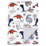 PHF Minky Baby Blanket, 30x40 Inches Soft Toddler Blanket with Double Layer Dotted Backing for Boys, Reversible Crib Receiving Blanket Bed Throws for Newborns, Infant, Babies, Dinosaur, 30x40 Inches