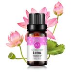 Lotus Essential Oil 100% Pure Oganic Plant Natrual Flower Essential Oil for Diffuser Message Skin Care Sleep - 10ML