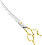 HASHIMOTO Curved Scissors for Large Dog Grooming,8.0 inches,Design for Professional Groomer.