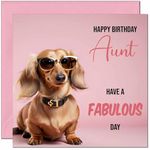 Aunt Birthday Card for Auntie - Fabulous Dachshund Funny Birthday Card for Aunty