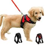 Dog Harness For Small Dogs