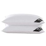 YZTEX 2 Pack Goose Feather and Down Pillows 100% Cotton Shell Soft Hotel Quality Pillows(40% Down)