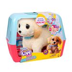 Little Live Pets Ouchies Deluxe Single Pk Cooper