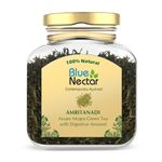 Blue Nectar Aniseed Green Tea Leaves | Supports Digestion | Eco Friendly Glass Jar | 100% Natural Green Tea Loose (50 gm + 15 gm Free)