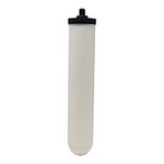 Newton 10" Short Mount Ceramic Water Filter Candle | Compatible with The Doulton 9504, 9501, W9123053, W9123006 (1 Pack)