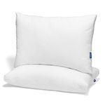 Casper Original Pillow for Sleeping, Standard, White, Two Pack