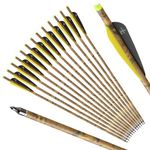 S F Outdoors Carbon Crossbow Arrows 12-Pack, Carbon Crossbow Bolts for Hunting and Target Practice