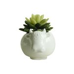 Youfui Cute Succulent Planter Animal Shaped Flower Pot Decor for Home Office Desk (Cow)