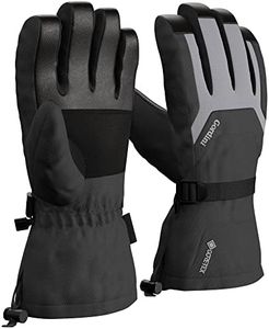 Gordini Men's Gore-Tex Gloves for Cold Weather & Wind Snowboard & Skiing Adjustable Straps Keeping Waterproof Insulated Warm for Winter
