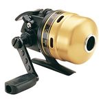 Daiwa Goldcast 4.1:1, 9.9 Ounce, 10 Pound/80 Yards 1 Ball Bearing Reel