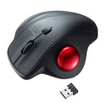 SANWA 2.4G Wireless Ergonomic Trackball Mouse, Optical Vertical Rollerball Mice, Silent Buttons, 34mm Trackball, 600/800/1200/1600 Adjustable DPI, Compatible with MacBook, Laptop, PC, Windows, macOS