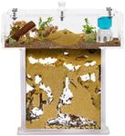 Anthouse.ES - Acrylic Ant Farm Kit in T-Shape Mini - Sandwich 14x5x14 cm and Foraging Box - Ant Farm - Transparent