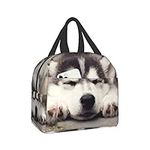 Lunch Bag Husky Dog Insulated Lunch