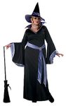 California Costumes Women's Plus Size-Incantasia - Glamour Witch, Black/Purple, 2XL (18-20) Costume