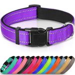 Dog Collars For Medium Dogs