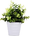 Meneco Small Fake Plant Potted - Faux Plant Indoor Plant Artificial Potted Plant Decor for Home and Office (Eucalyptus Green)