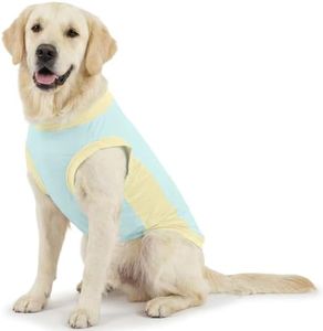 LelePet Dog Shirt for Medium Large Dogs, Sun Protection Dog Cooling Vest, Breathable Lightweight Puppy T-Shirts Pet Outfit Quick Dry Pet Summer Clothes, Blue 2XL