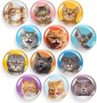 Cats Glass Refrigerator Magnets – Adorable Kitchen and Office Decor – Floral and Fun Whiteboard Magnets for Home and Locker