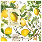 Michel Design Works Soft Triple-ply Paper Luncheon Napkins, Lemon Basil Themed, Perfect for Everday Use and Display, 20 Count