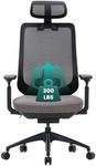 COLAMY XK Atlas Ergonomic Mesh Office Chair, High Back Computer Executive Desk Chair with Adjustable Headrest and 4D Arms, Slide Seat, Tilt Lock, Nylon Base, Grey