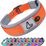 Joytale Reflective Dog Collar Extra Large Dogs | Ultra Comfy Soft Neoprene Padded | Heavy Duty Metal Belt Buckle, Orange