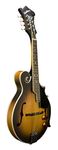 Washburn M3E Mandolin Pack with F-Style Mandolin with Pickup, Gig Bag, Pitch Pipe, Strap, Picks, Booklet, World Class Americana Instrument for Bluegrass, Celtic, Rock and More