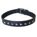 BBD 18-21-inch Studded Leather Collar, Black