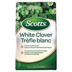 Scotts White Clover Lawn Seed, 1kg (Covers 1,100 Sq. Ft.) – Low-Maintenance, Self-Fertilizing, Drought-Tolerant Grass Seed Alternative for Eco-Friendly Lawns