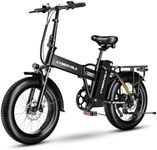 YorkE Folding Electric Bike,Black