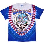 Liquid Blue Men's Standard Grateful Revolutionary Dead USA SYF, Tie Dye, X-Large