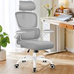 Razzor Ergonomic Office Chair, High Back Mesh Desk Chair with Lumbar Support and Adjustable Headrest, Computer Gaming Chair, Executive Swivel Chair for Home Office, RZ2202H-Light Gray