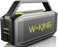 W-KING 60W RMS(100W PEAK) Loud Port