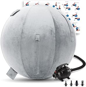 Exercise Ball 65cm/26in, Desert Sage Mirco Plush Soft Cover with Electric Quick Pump For Yoga, Pilates, Fitness Balance Stability, Office Ball Chair Seat. Soft & Slip Resistant, Pro Guide