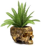 GUTE Skull Bowl & Plant Planter Pot 6" Deep Polyresin Skulls Pot for Succulents, Indoor Plants & Flowers - Bowl & Serving Bowl, Modern, Skeleton Home Décor Gold