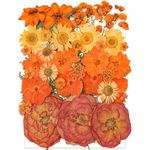 YoothBro Orange Dried Pressed Flowers for Resin Molds,Real Natural Pressed Flowers for DIY Art Crafts,Candle Making, Nails Décor,Soap Making, Phone Case