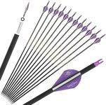 6/12 Pack 30 inch Pure Carbon Arrow Spine 300/350/400/500/600 Archery Targeting Practice Hunting Arrows for Compound & Recurve Bow with Removable Tips (Purple, Spine 350/6 pack)