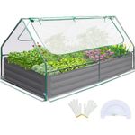 Quictent 6x3x1ft Galvanized Raised Garden Bed with Cover Metal Planter Box Kit, w/ 2 Large Screen Windows Mini Greenhouse 20pcs T Tags 1 Pair of Gloves Included Outdoor Growing Vegetables (Clear)