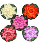 MEENAMART.COM Diwali Home Decor Artificial Floating Foam Lotus Flowers with Water Lily Pad for Pond, Pool, Aquarium, Garden, Wedding, Party, Holiday and Special Event Decorations - Pack of 5