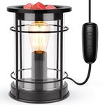 SALUBRITO Electric Wax Melt Burners with Timer, Metal Glass Wax Burners for Wax Melts, Wax Melter with 40W Edison Bulb for Home