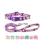 Olahibi Daisy Pattern Dog Collar and Leash Set,Durable Polyester Collar and 150CM Matching Lead for Small Dogs.(S, Purple Daisy)